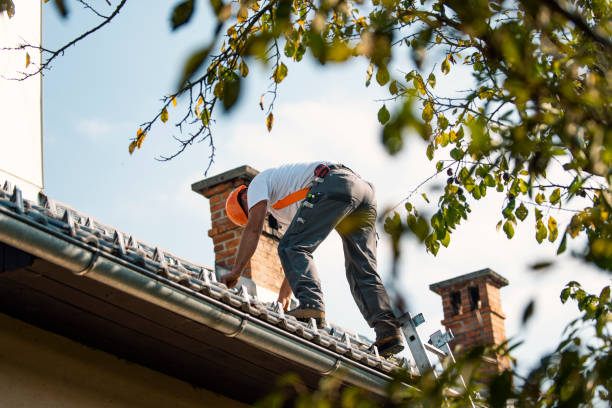 Quick and Trustworthy Emergency Roof Repair Services in Ester, AK