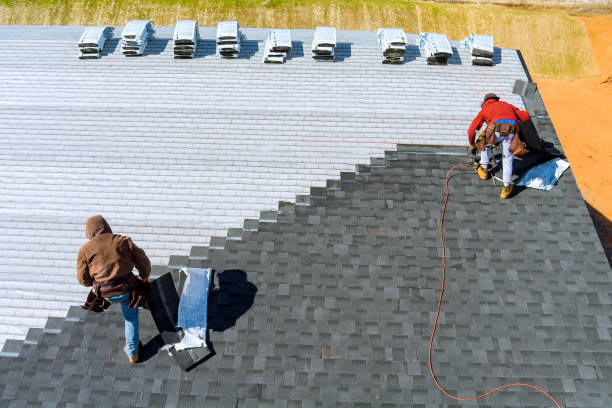 Best New Roof Installation  in Ester, AK