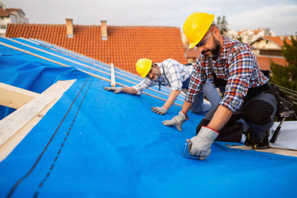 Best Gutter Installation and Roofing  in Ester, AK