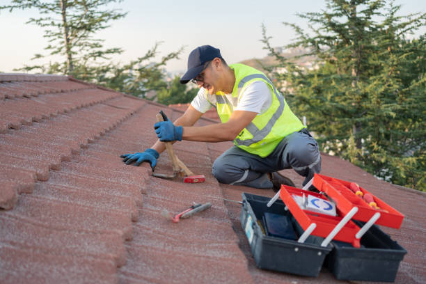 Quick and Trustworthy Emergency Roof Repair Services in Ester, AK