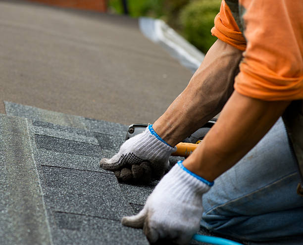 Best Roof Gutter Cleaning  in Ester, AK